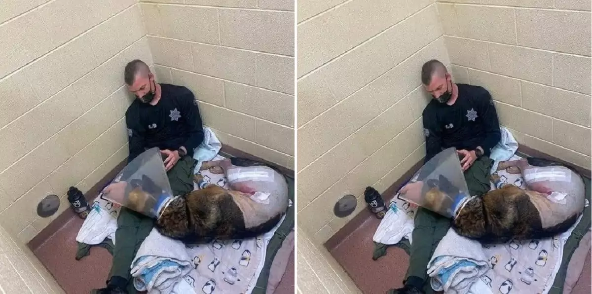 The owner stayed by their dog’s side 24/7 during the final days of its life