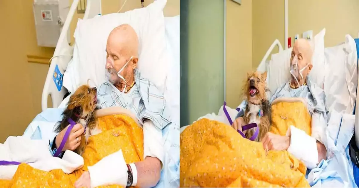 A Vietnam veteran happily reunites with his beloved dog while in hospice care