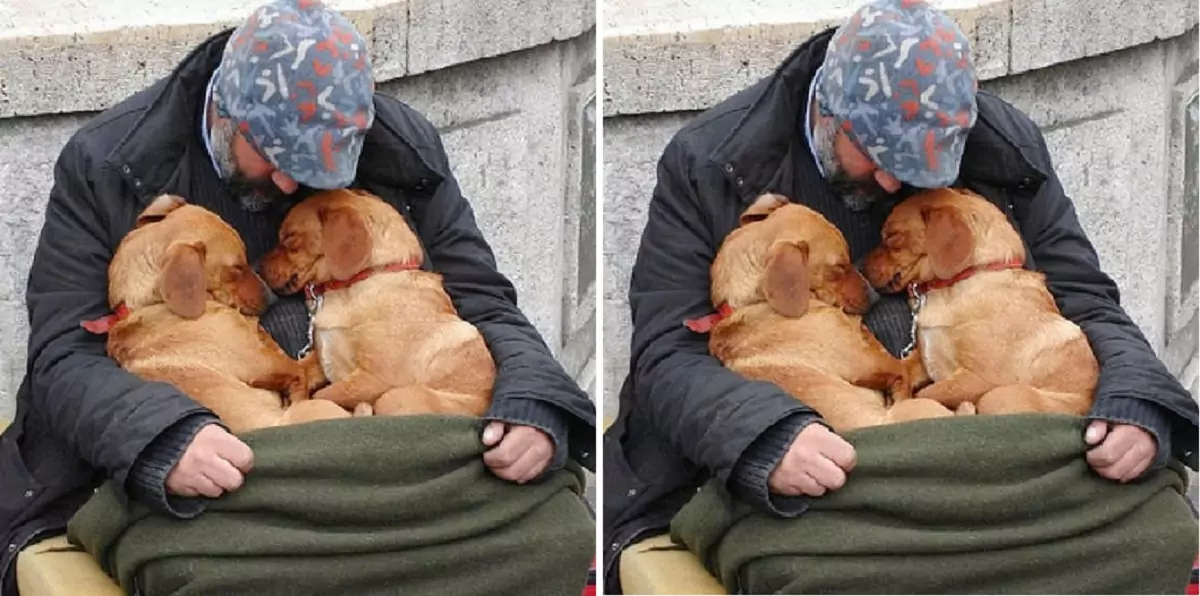 The homeless man lacked everything, but he never abandoned his two dogs