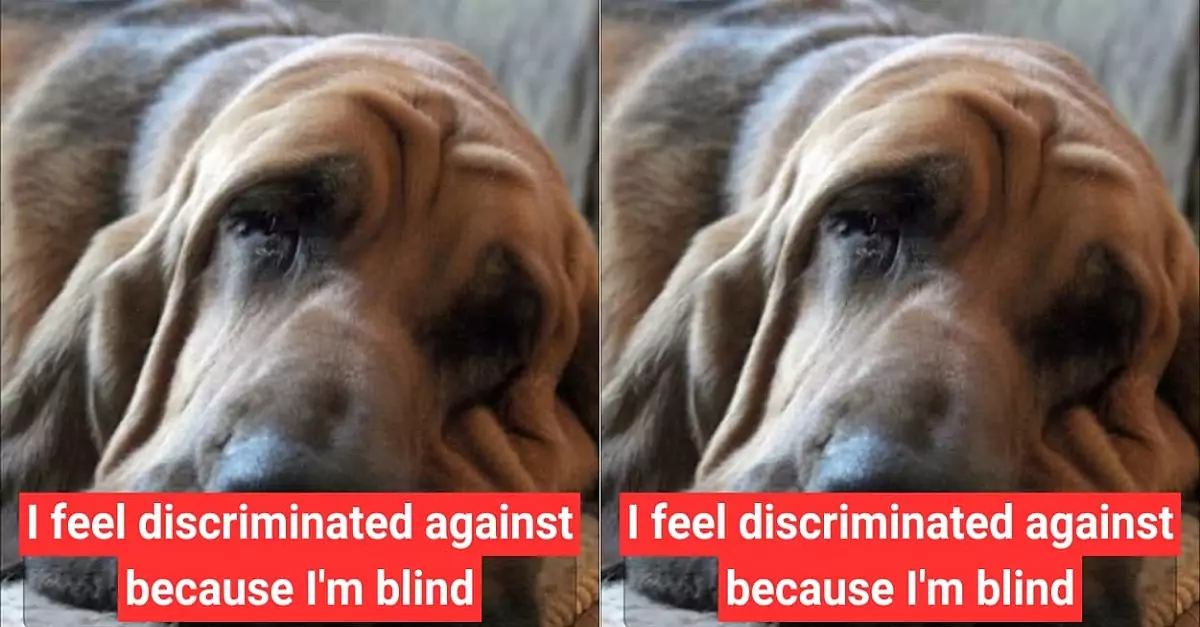 I feel discriminated against because I’m blind