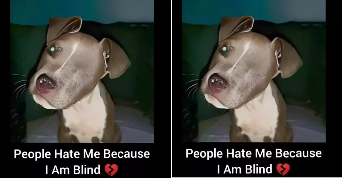 People avoid me because I am blind