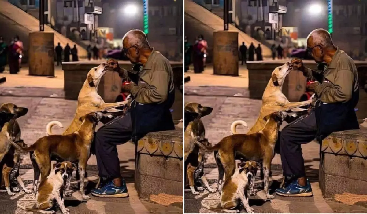 Captured a touching moment as a homeless elderly man shares warmth with his stray dogs