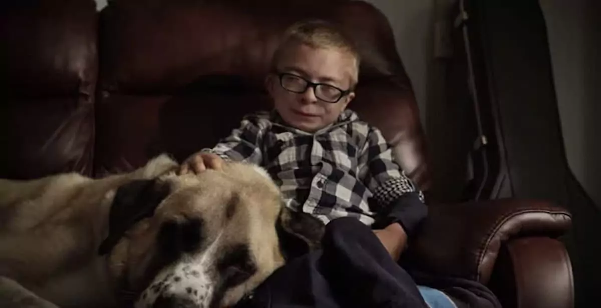 A young boy battling a painful illness forms a life-changing bond with an abused, abandoned dog, forever transforming both of their lives