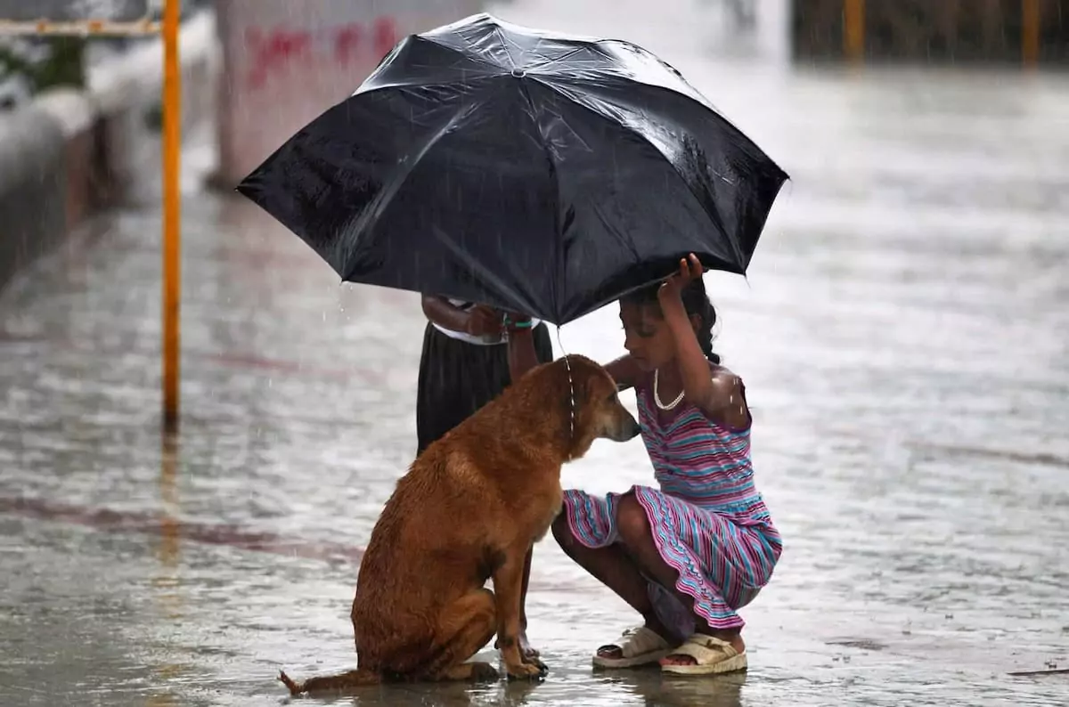 A 7-year-old boy rises to the occasion as a true hero, displaying immense compassion while rescuing an abandoned dog