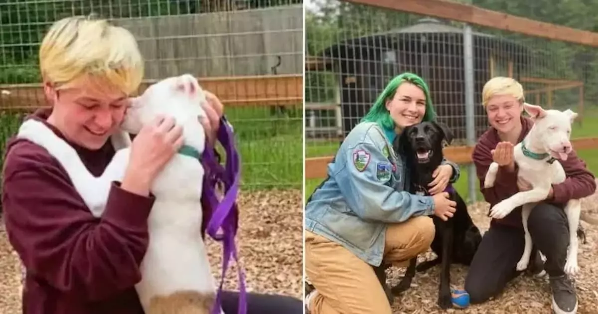 Once Wounded and Homeless on Oregon Streets, This Dog Finds Healing and Becomes a Loving Companion