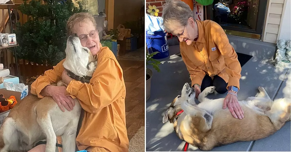 From the dog with skin turned to stone to the handsomest dog finding a home with his “foster mom