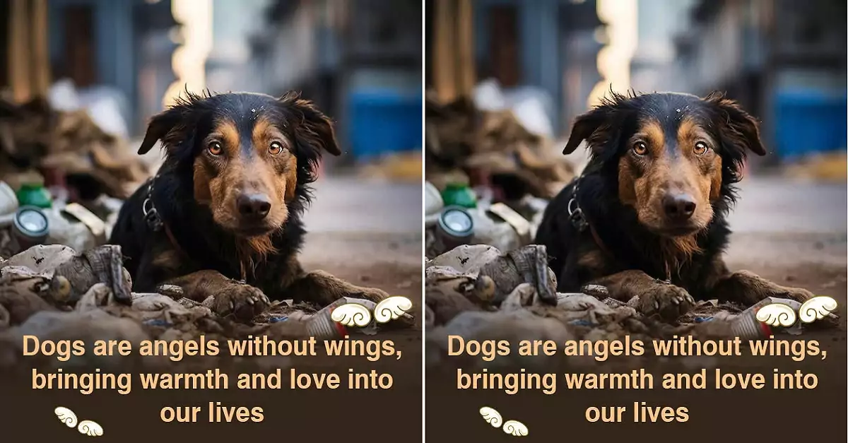 Dogs are angels without wings, bringing warmth and love into our lives