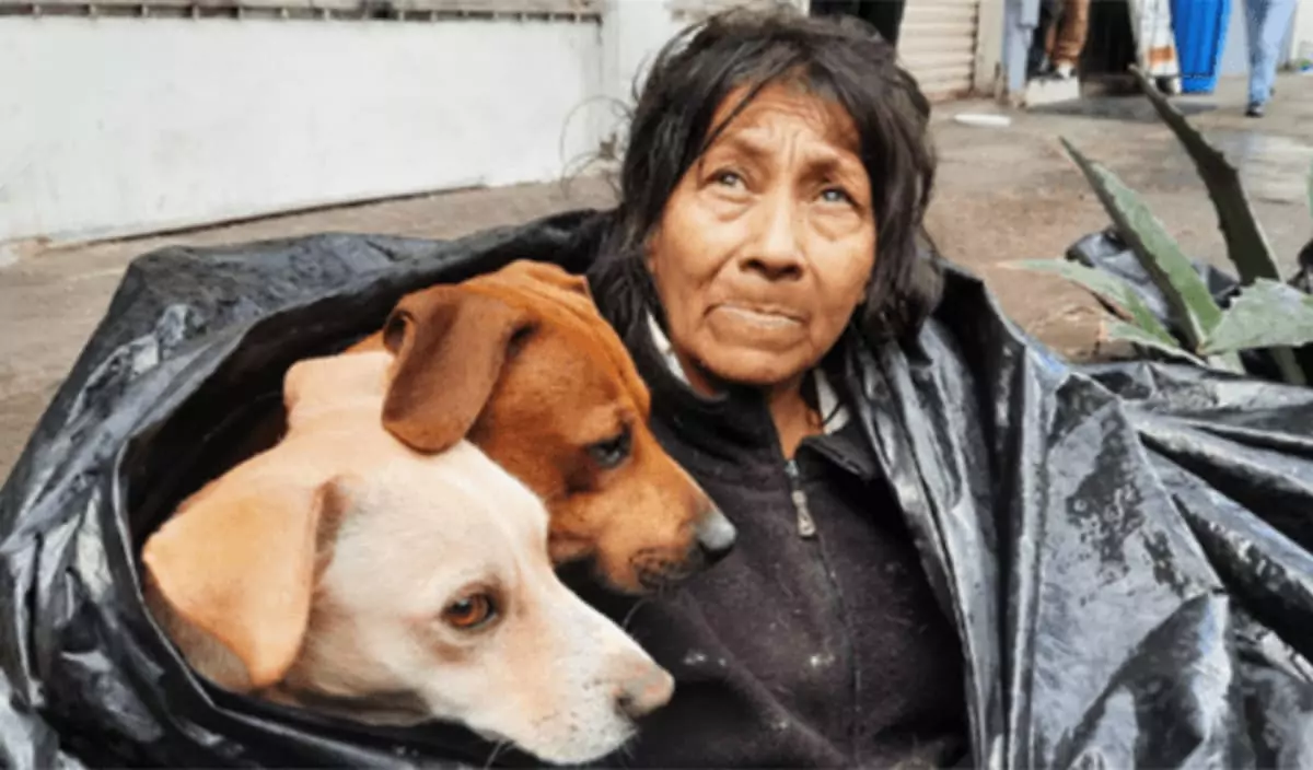 A homeless woman, prioritizing her six dogs over her own comfort, declined the warm bed at the shelter, showing an unbreakable bond and devotion to her furry companions