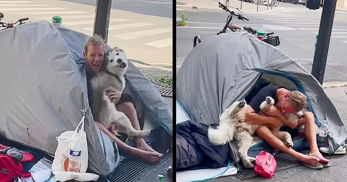 In a heartwarming story, a stray dog finds friendship and care from a kind-hearted soul who calls the streets their home