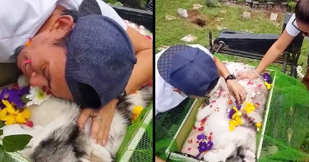 A dog owner bids farewell to their beloved companion, calling him ‘son,’ showcasing the deep bond they share