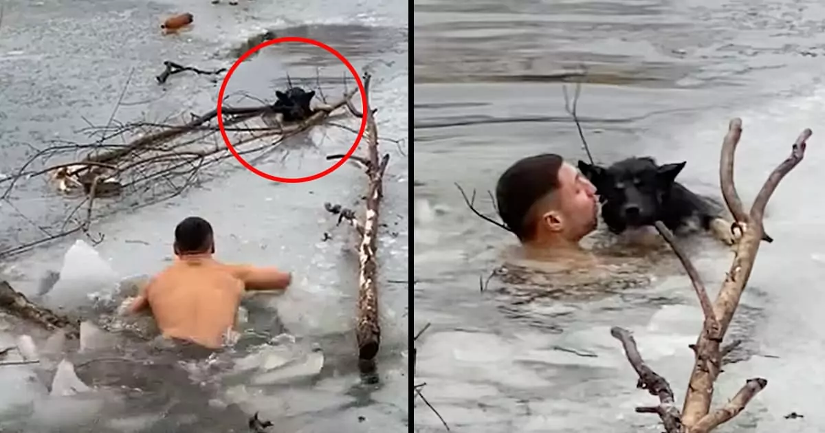 Jumping into an icy lake to save a helpless dog demonstrates an extraordinary act of courage and compassion