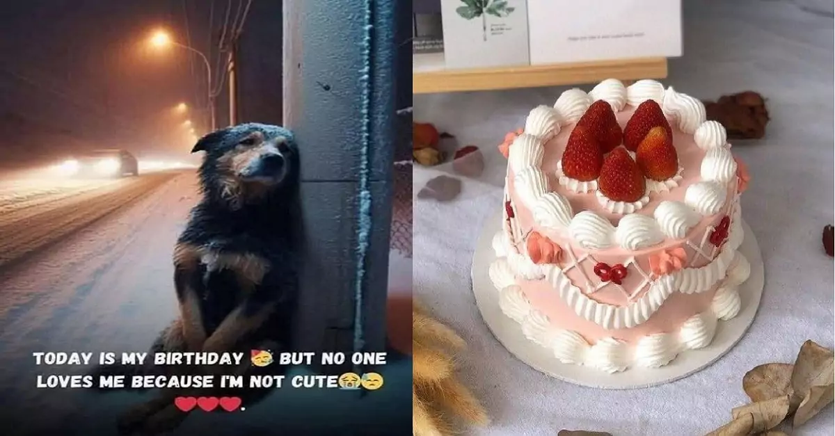 Today is my birthday, but no one is celebrating it because I’m not beautiful