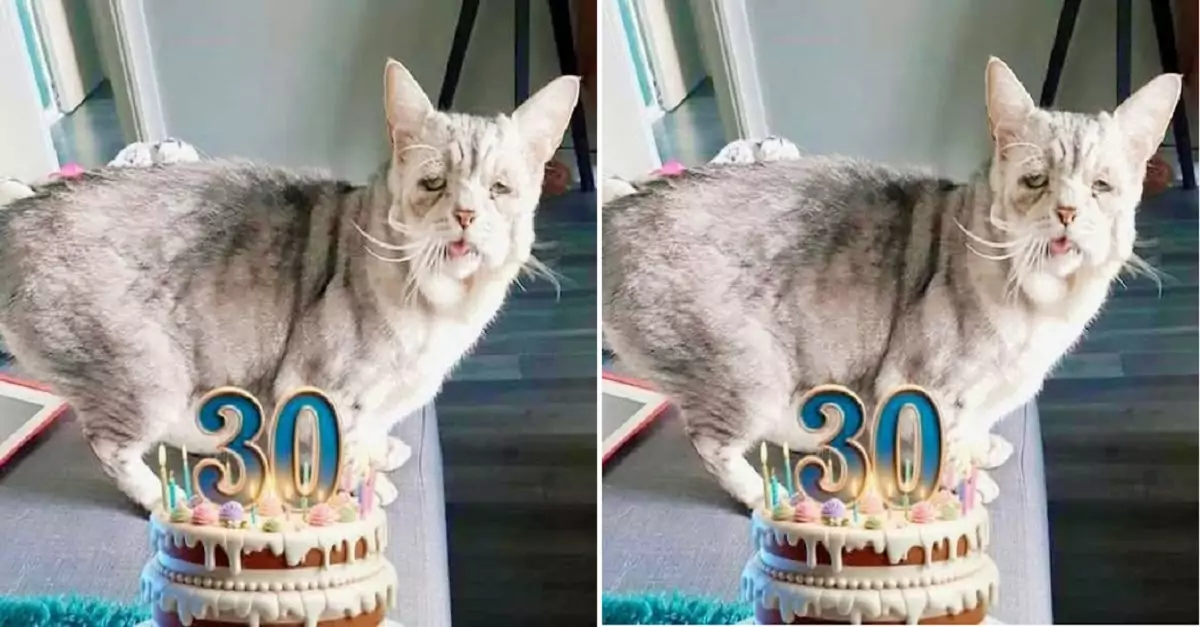 I’m 30 years old this year, and this is the very first time I’ve ever had a birthday celebration