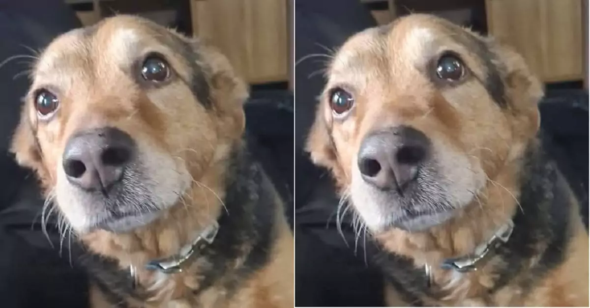 I feel so sad that no family wants to adopt me. Is it because I’m too ugly?