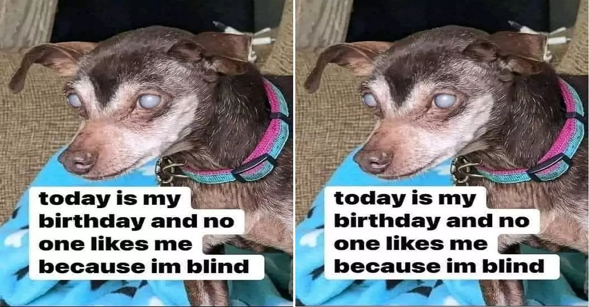 It’s my birthday today, but no one likes me just because I’m blind