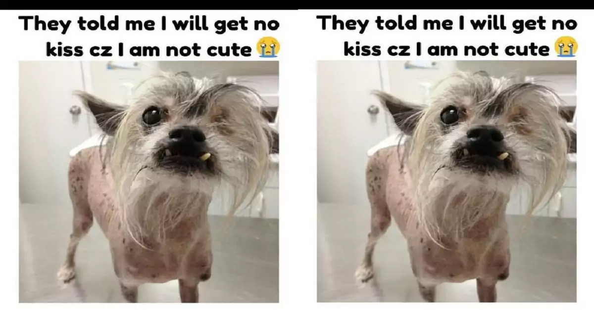 Am I too ugly? Are you afraid of me?