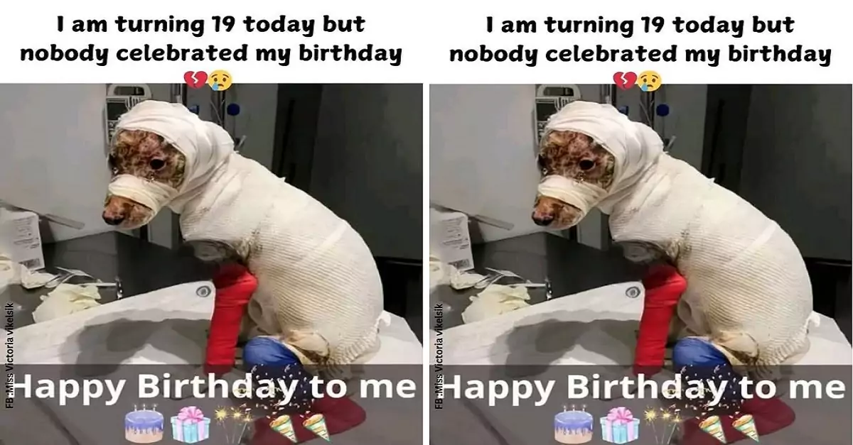 Today is my 19th birthday, but joy hasn’t come to me