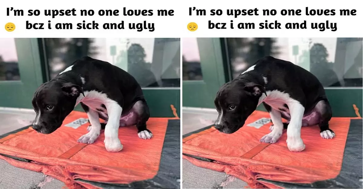 It feels like no one loves me because I’m ugly, doesn’t it?