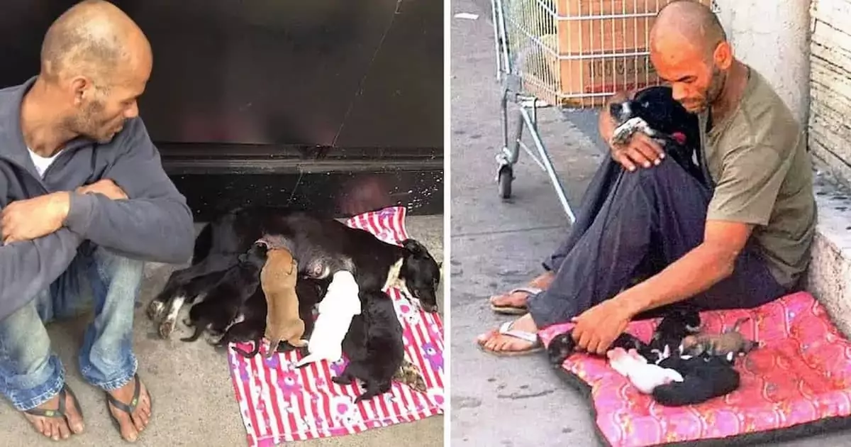 Despite being a beggar, the man still saved the lives of the abandoned puppies
