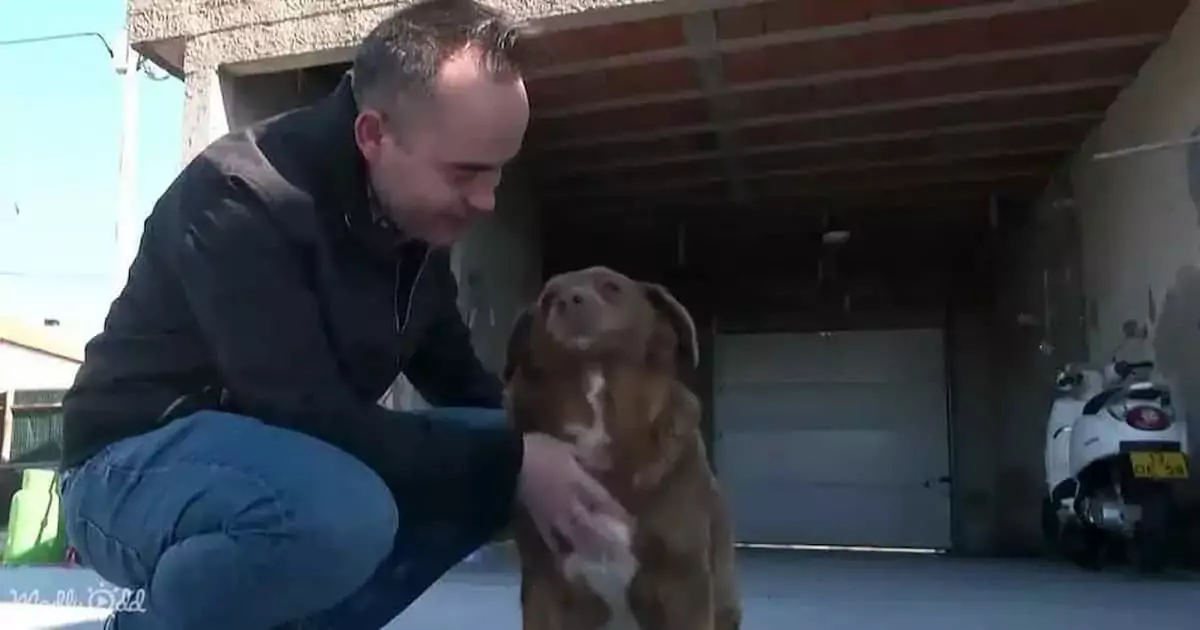 Brave dog Ozzie inspires family in their fight against cancer