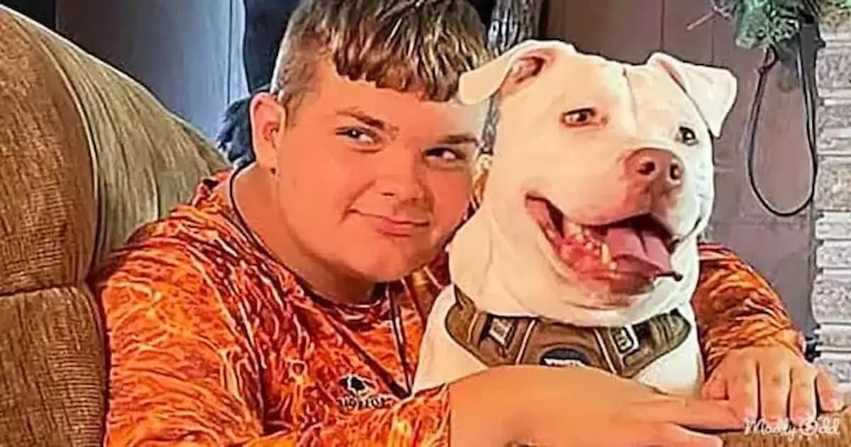 A hearing-impaired teenager develops a unique connection with a deaf dog: I need him, he’s mine