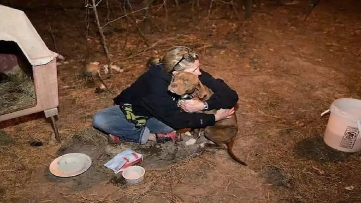Kidnapped Pitbull Rescued from Dogfighting Ring Reunited with Owner