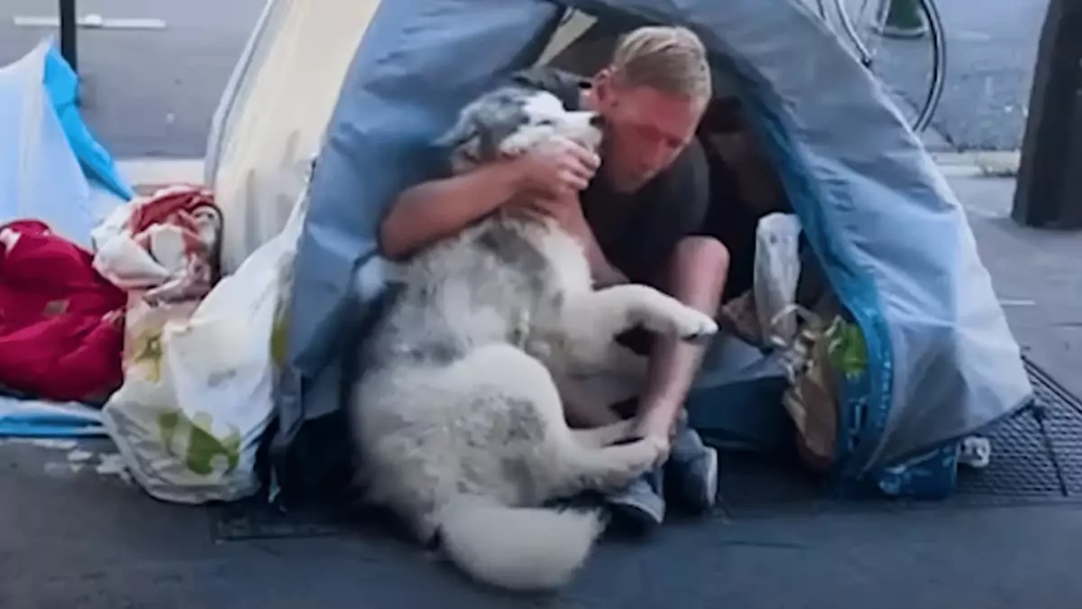 Dog Born Without Parts of His Brain Escapes Euthanasia and Now Spreads Joy as the “Happiest Pup Alive.” ‎