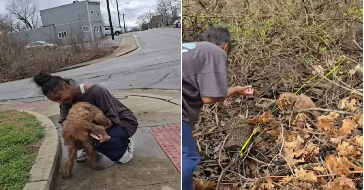 The Ohio owner was relieved after being reunited with their dog lost in the woods