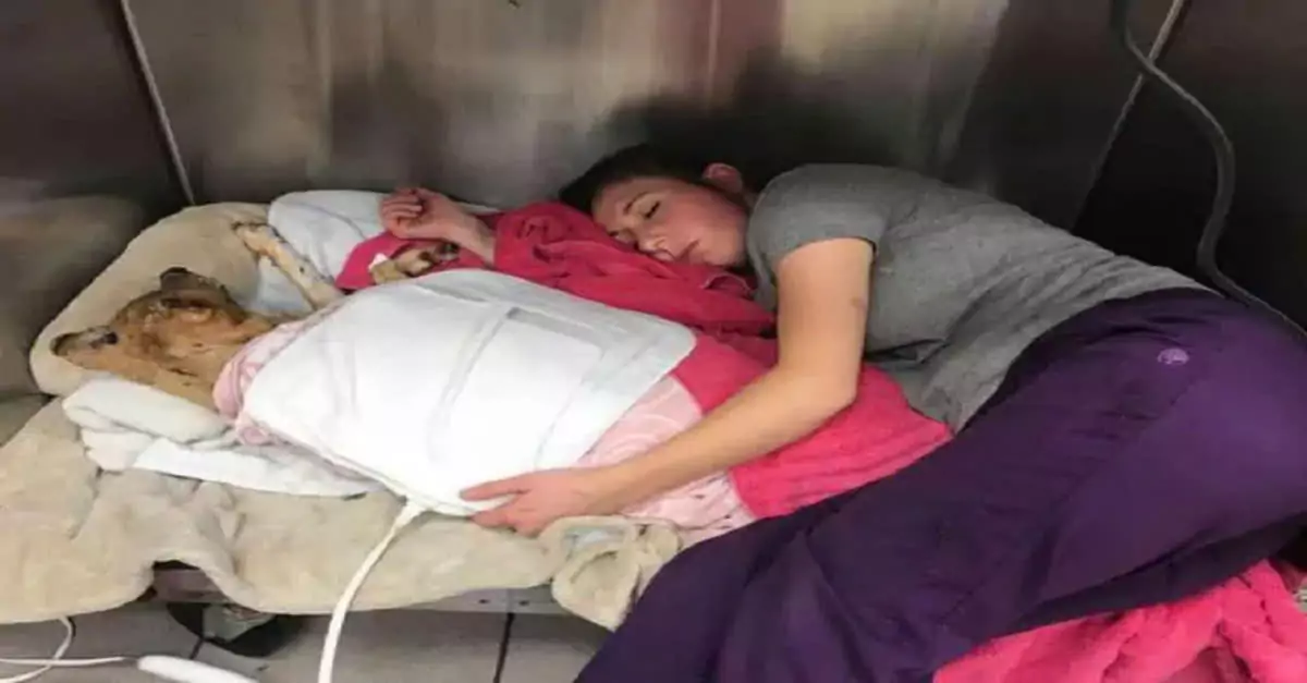 The vet cared for the burned and blind dog, going above and beyond by sleeping in the kennel with him