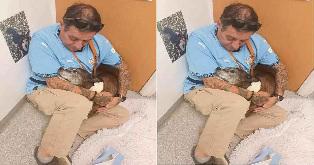 The touching image of an owner lying beside and caring for their sick dog is truly moving